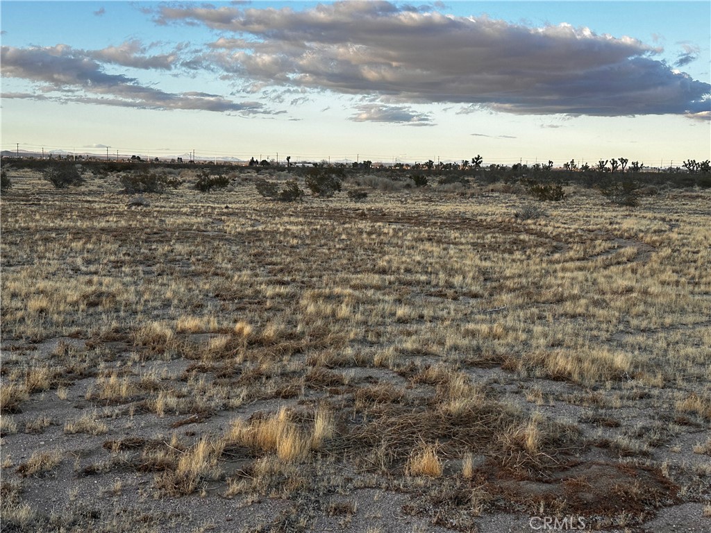 0 Yucca Road Property Photo 6