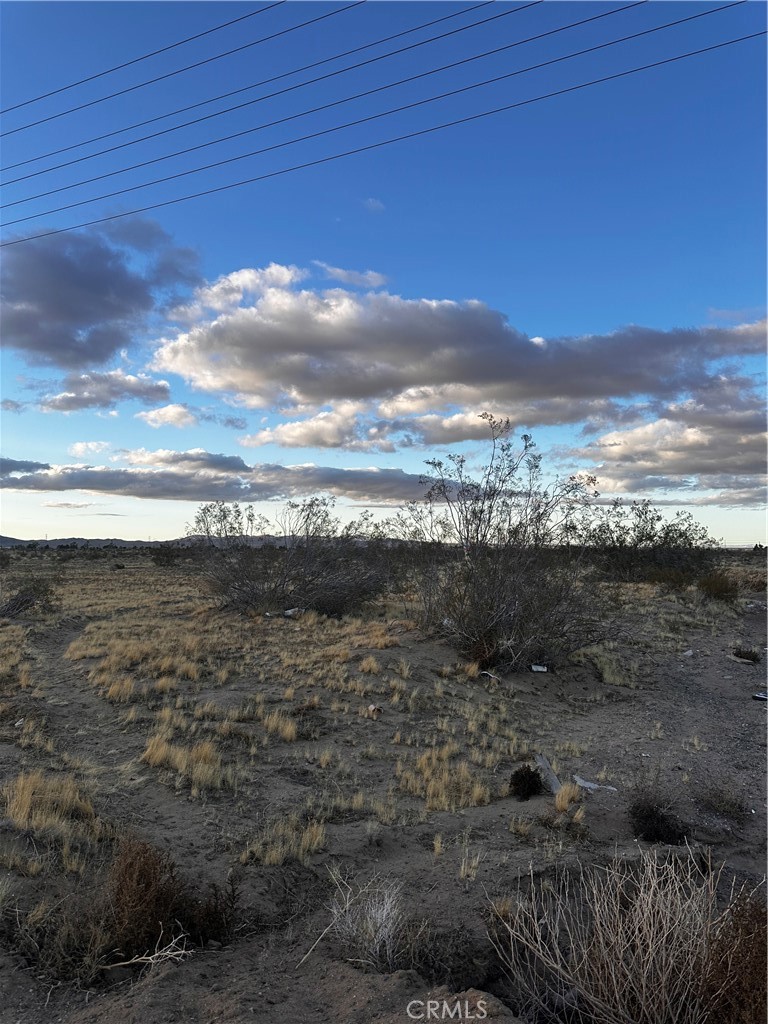 0 Yucca Road Property Photo 11