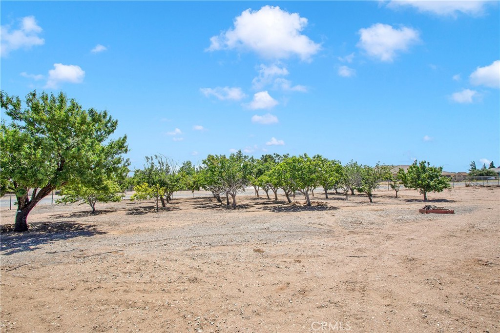 9275 Rattlesnake Road Property Photo 59