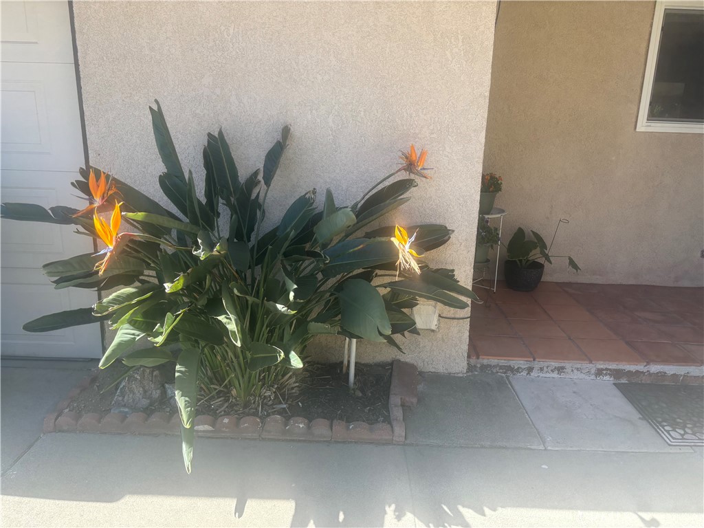 5334 N Mayfield Avenue Property Photo 3