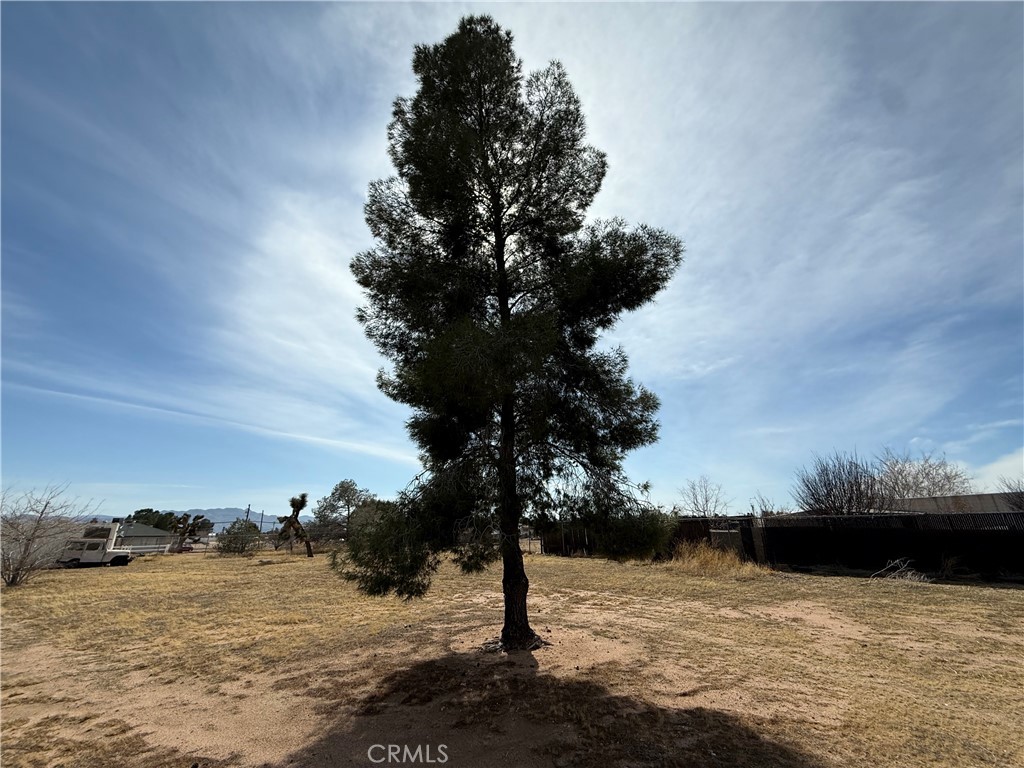 17747 Linden Street Property Photo 24