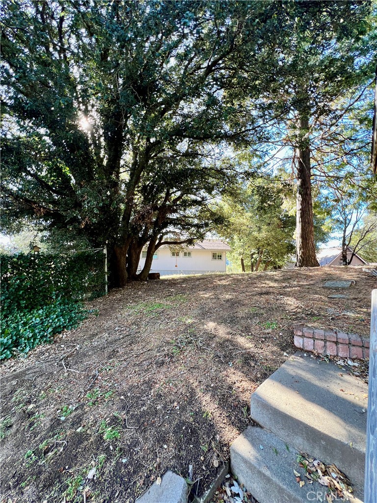 370 Weisshorn Drive Property Photo 24