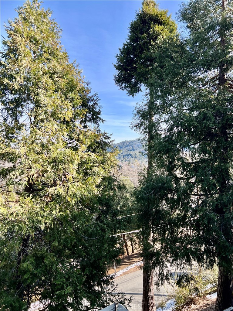 370 Weisshorn Drive Property Photo 26