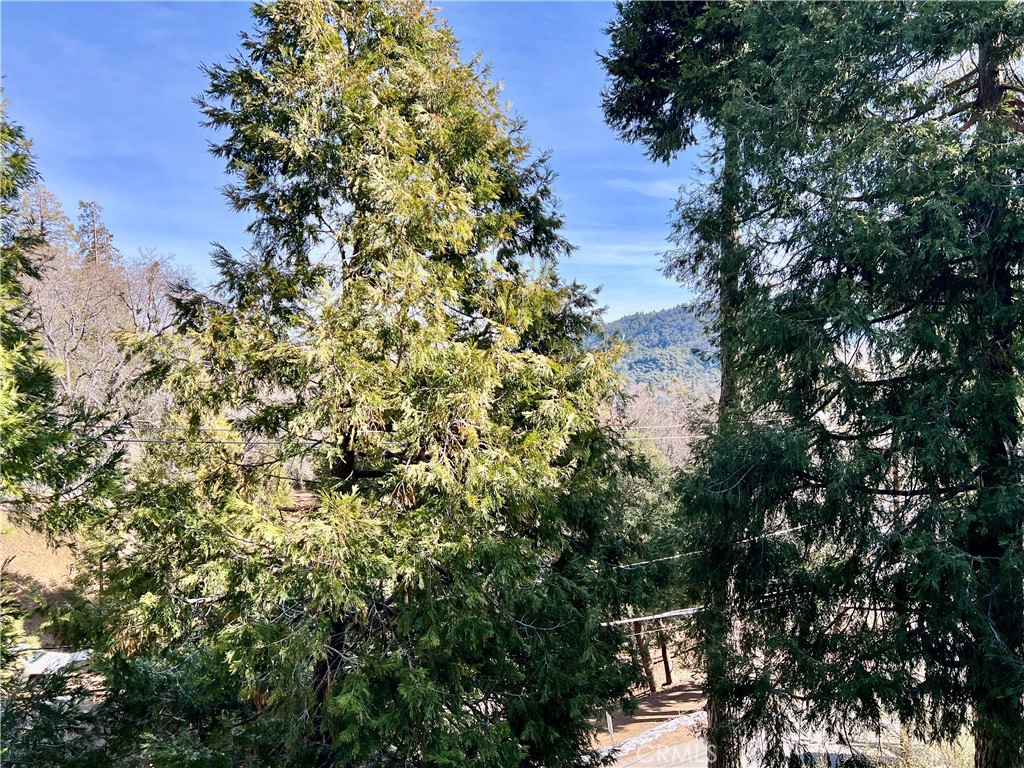 370 Weisshorn Drive Property Photo 27