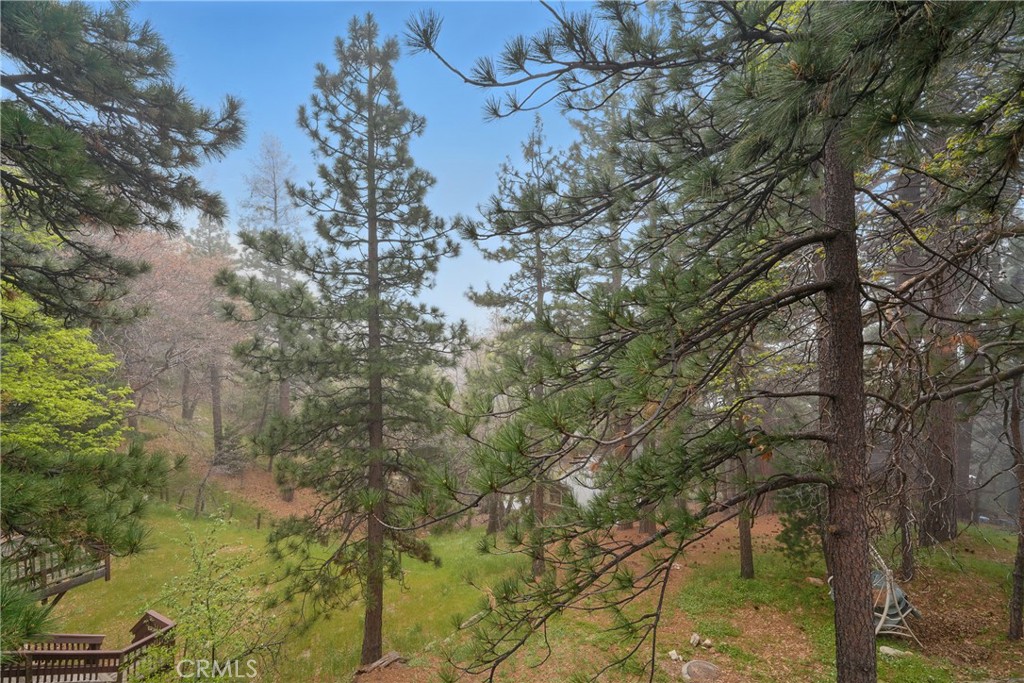 30919 Valley Oak Drive Property Photo 46