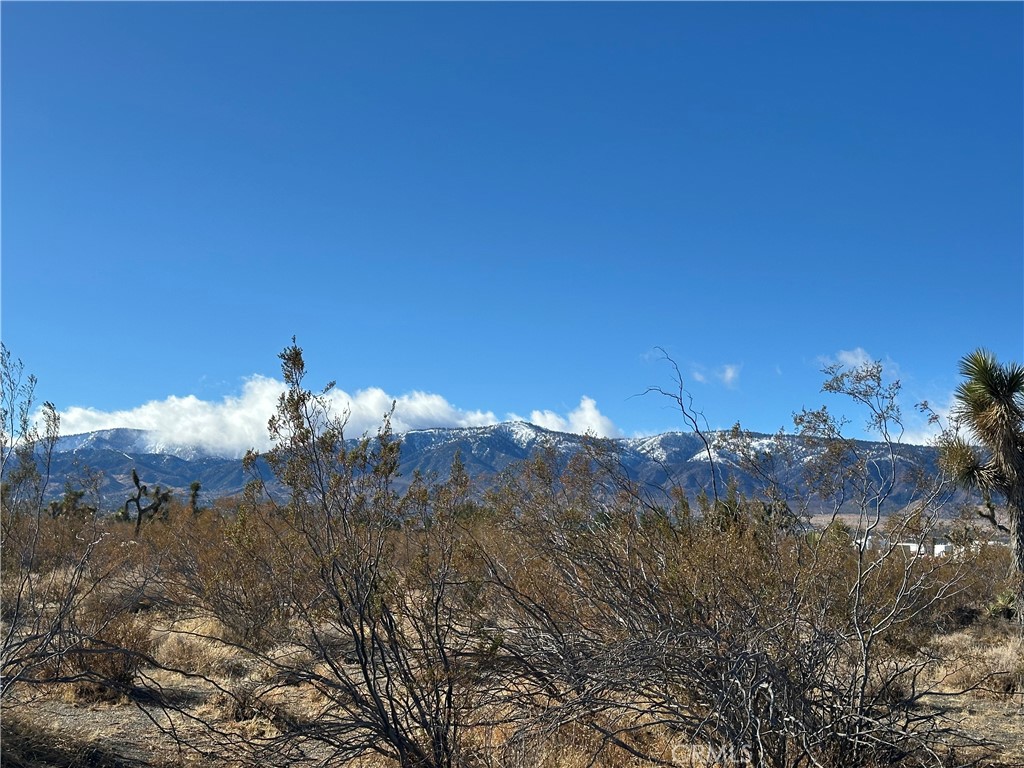 12650 Wintergreen Road Property Photo