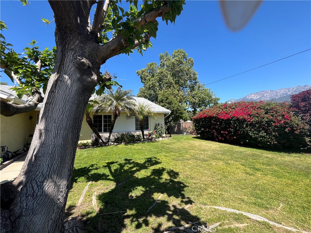 7320 Ramona Avenue Property Photo 4