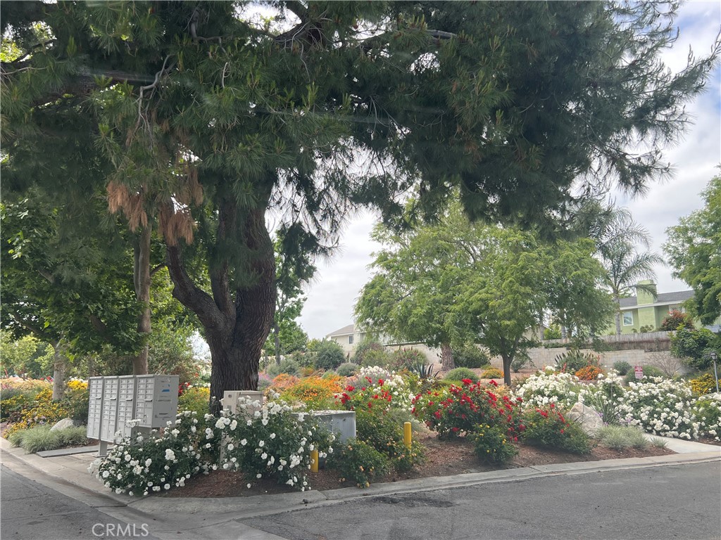 8401 Sunset Trail Place E Property Photo 23