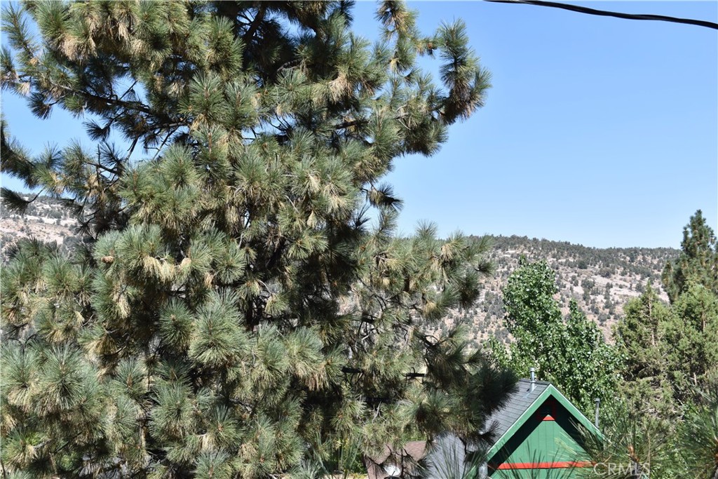 1025 E Big Bear Blvd Property Photo 17