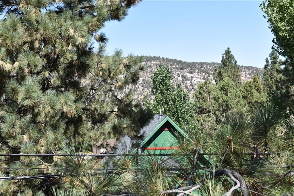 1025 E Big Bear Blvd Property Photo 18