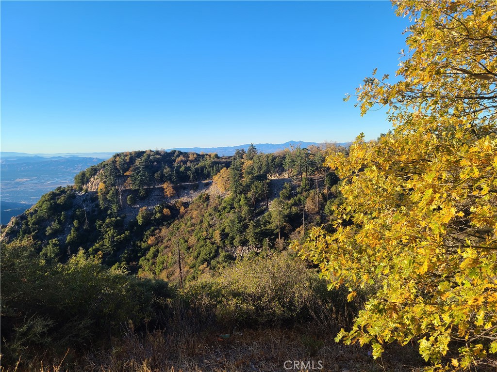 28662 Zion Drive Property Photo 34