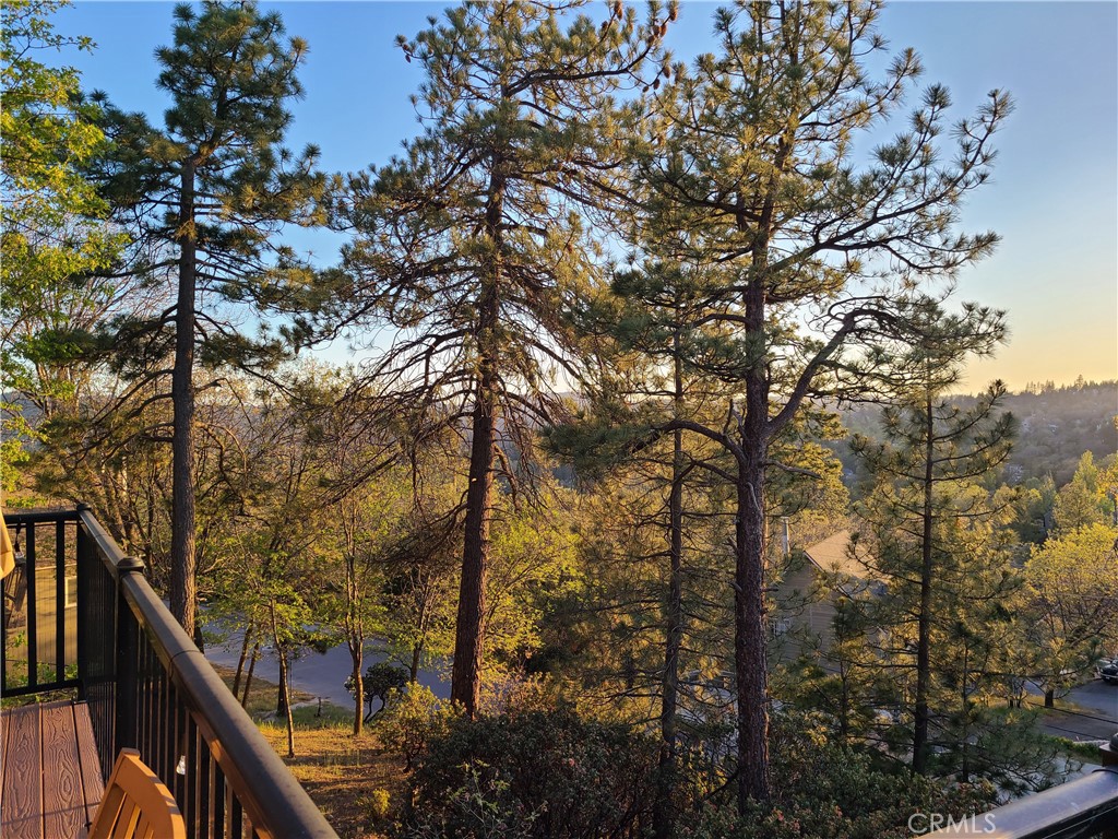 28662 Zion Drive Property Photo 42