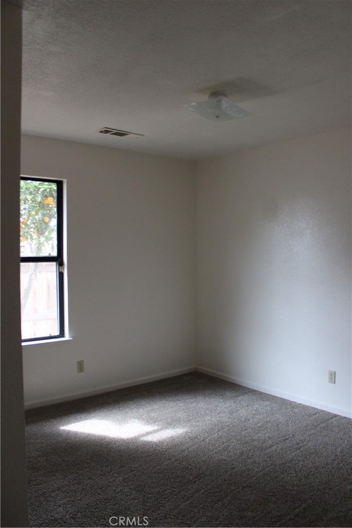 216 Palm Court Property Photo 21