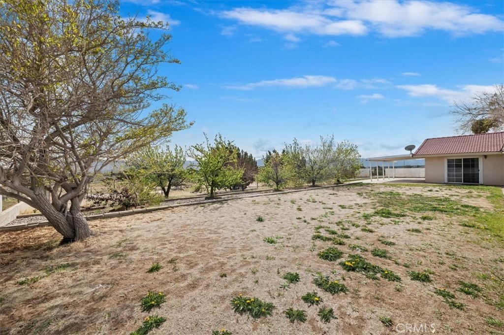 7847 3rd Avenue Property Photo 43