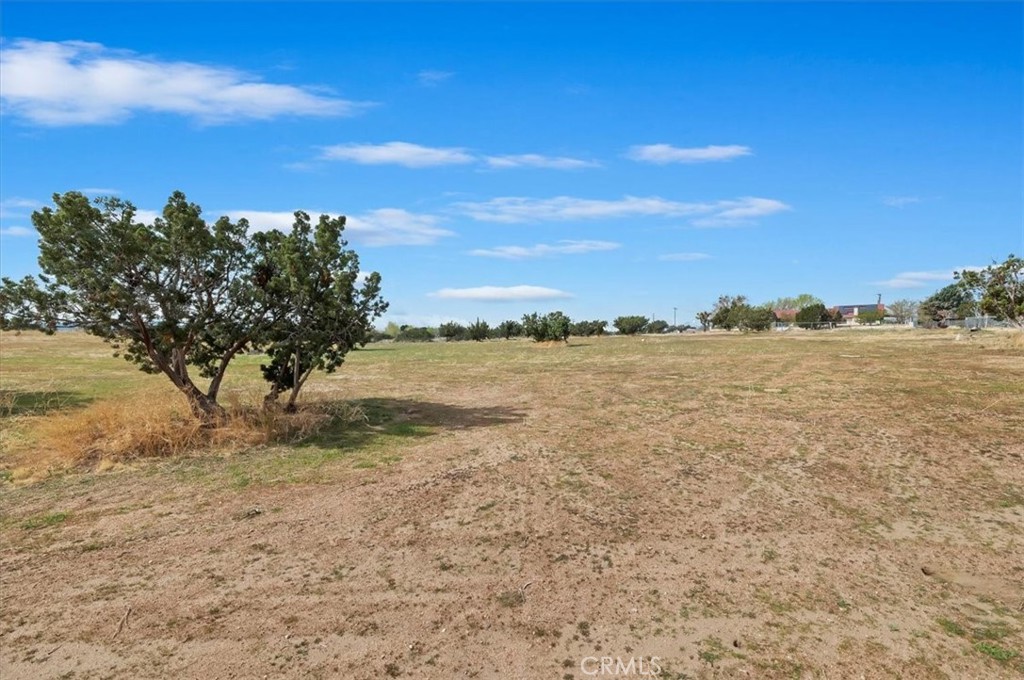 7847 3rd Avenue Property Photo 47