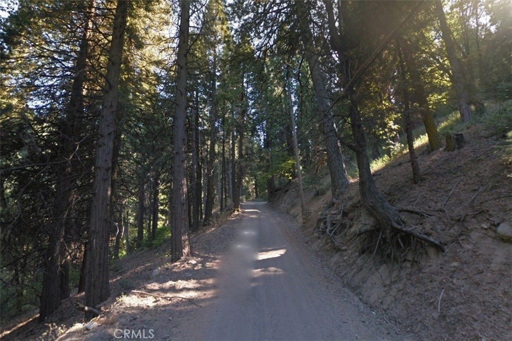 20 Burnt Mill Canyon Road Property Photo 2