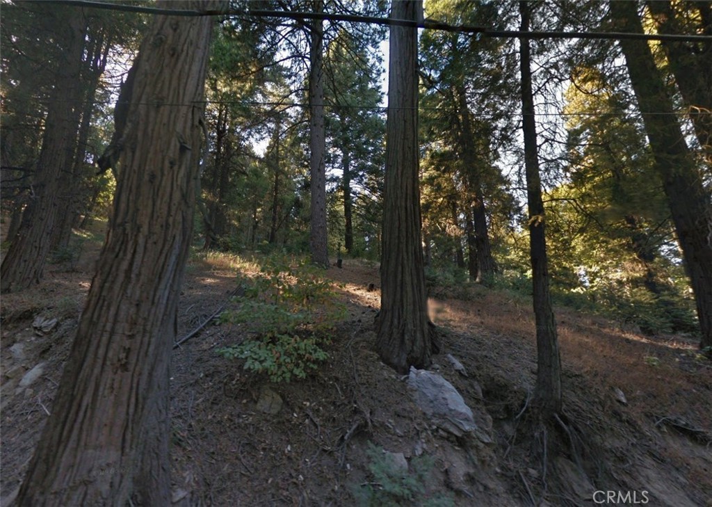 20 Burnt Mill Canyon Road Property Photo 3