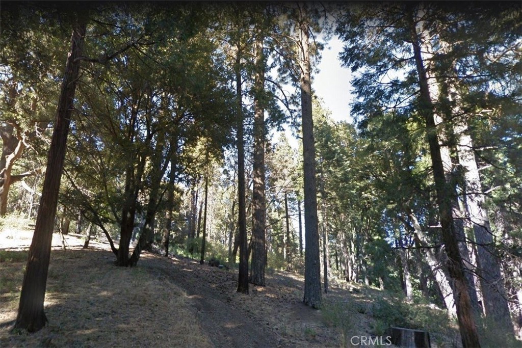 59 Mojave River Road Property Photo 1