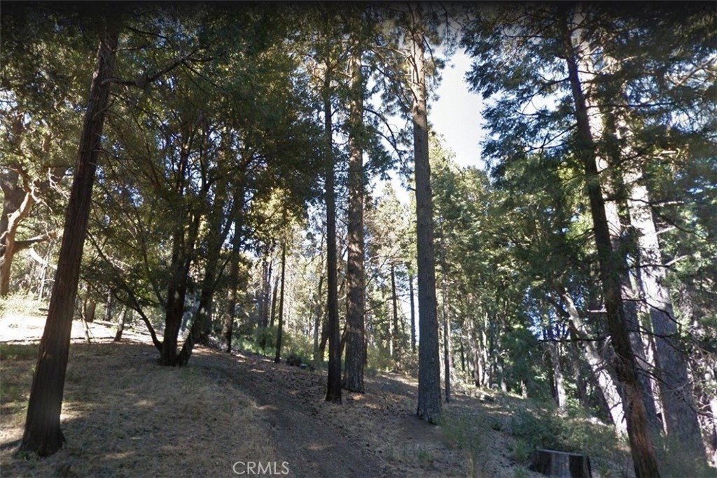 59 Mojave River Road Property Photo 1