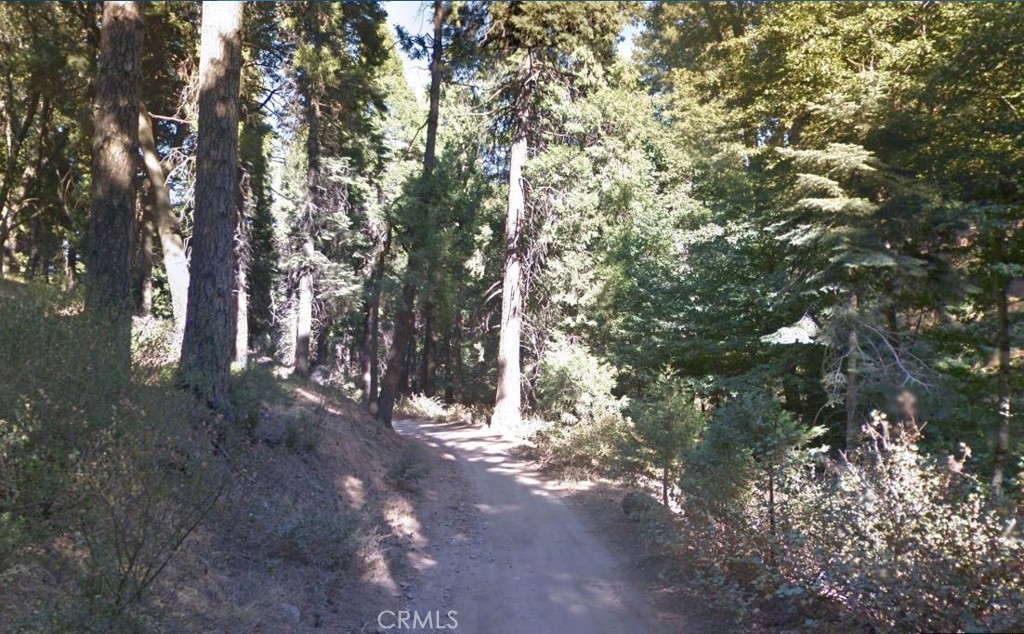 59 Mojave River Road Property Photo 2