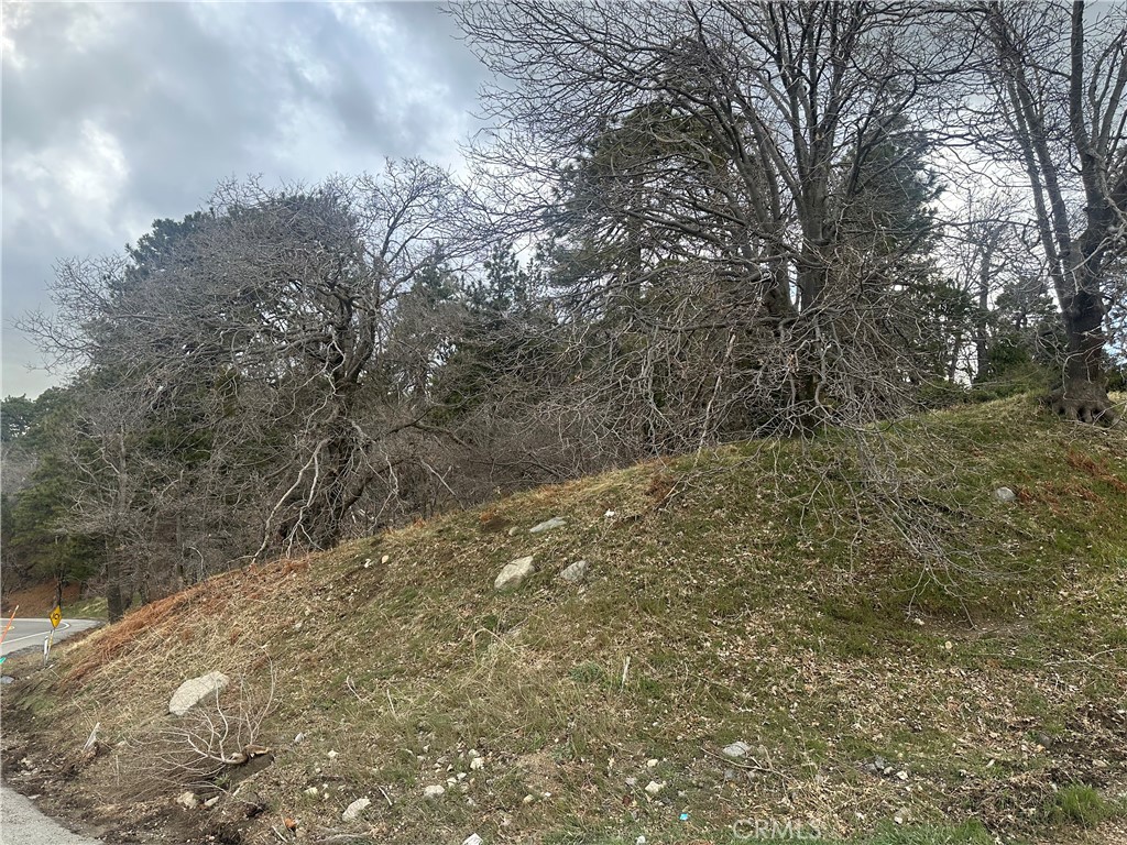 0 Torrey Road Property Photo