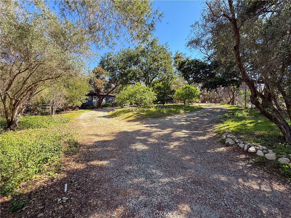 3430 Chaney Trail Property Photo