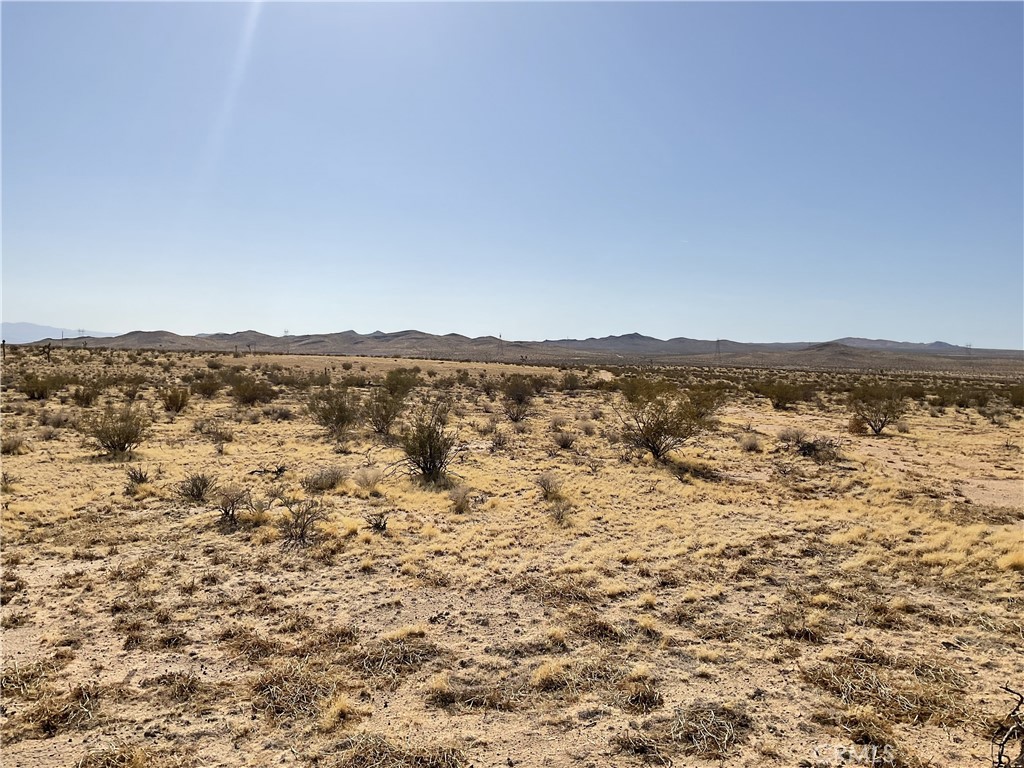 0 Verbena Avenue Property Photo