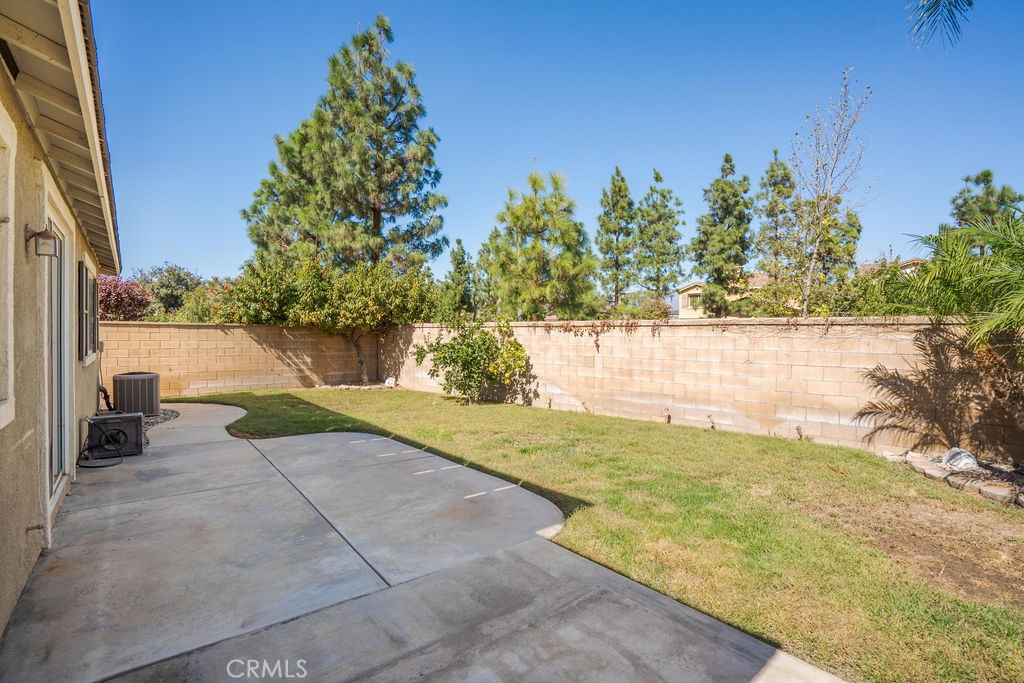 17108 Red Ash Court Property Photo 12