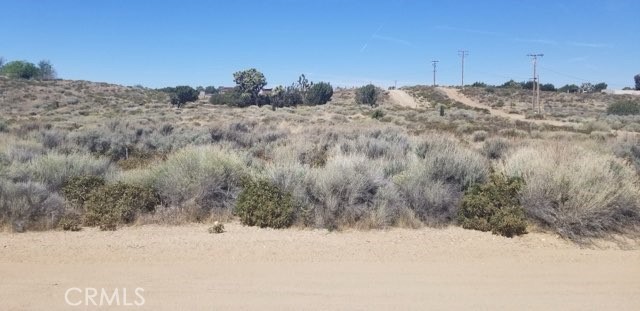 0 Mesquite Street Property Photo