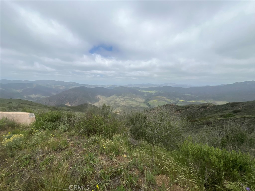 9533 Deer Creek Road Property Photo 22