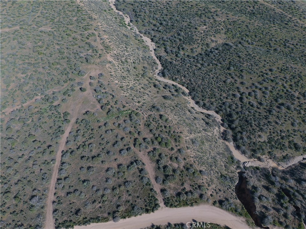 0 White Road Property Photo 4