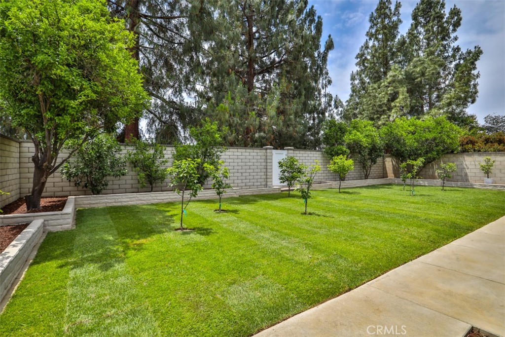 10249 Candlewood Street Property Photo 51