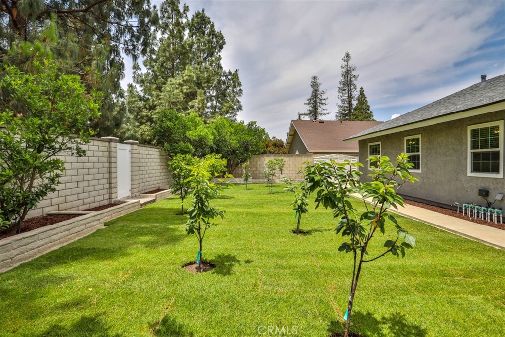 10249 Candlewood Street Property Photo 52