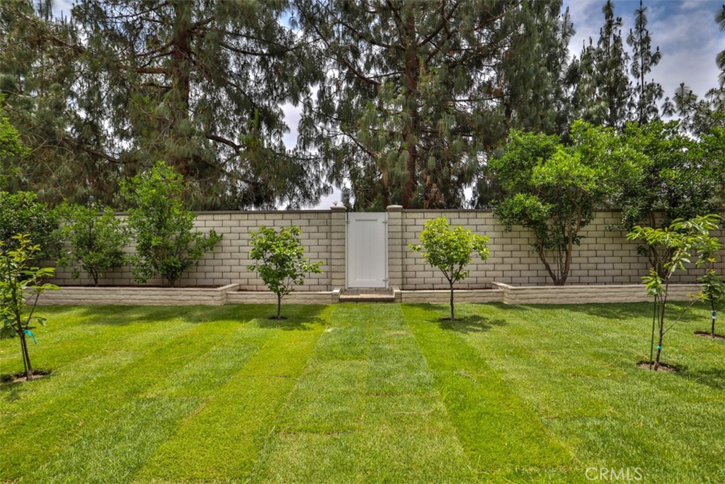 10249 Candlewood Street Property Photo 54