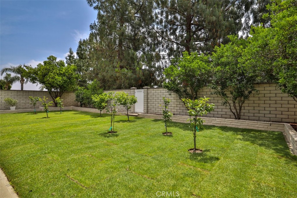 10249 Candlewood Street Property Photo 55