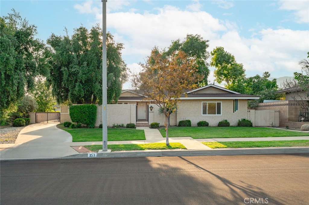 153 Underhill Drive Property Photo 4