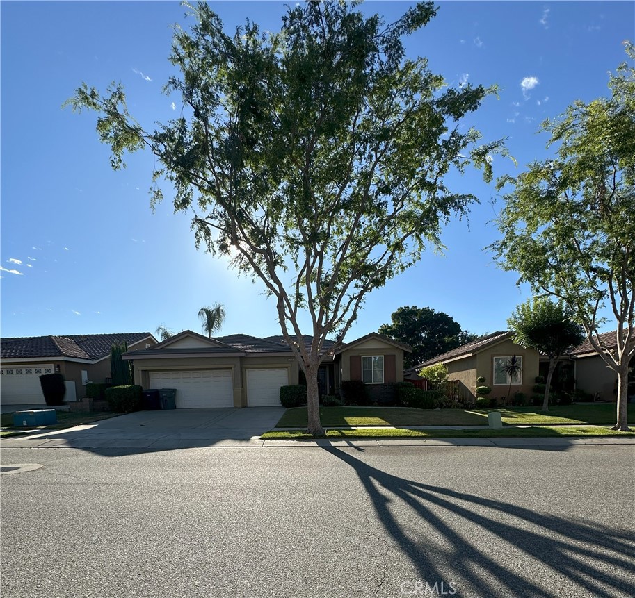 1256 Sunburst Drive Property Photo 1