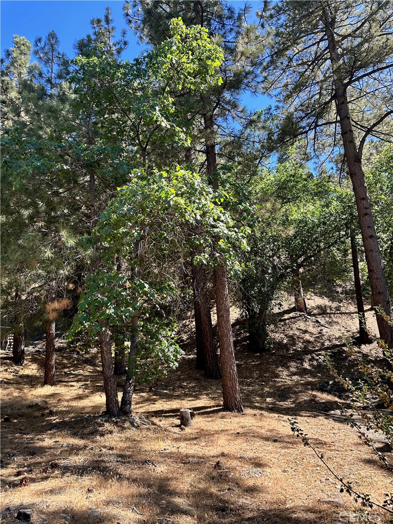 0 Heath Creek Drive Property Photo 13