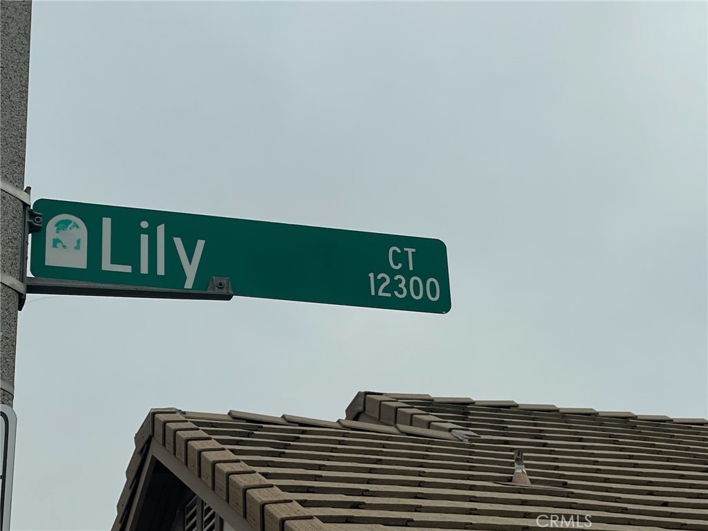 12424 Lily Court Property Photo 20