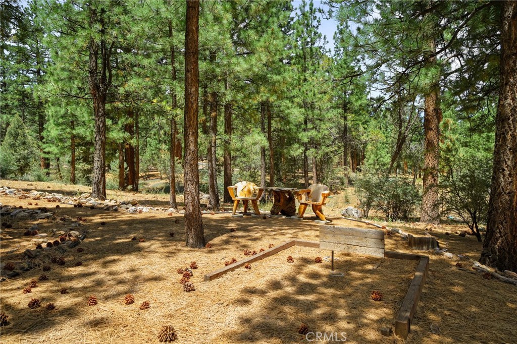 1947 Shady Lane Property Photo 46