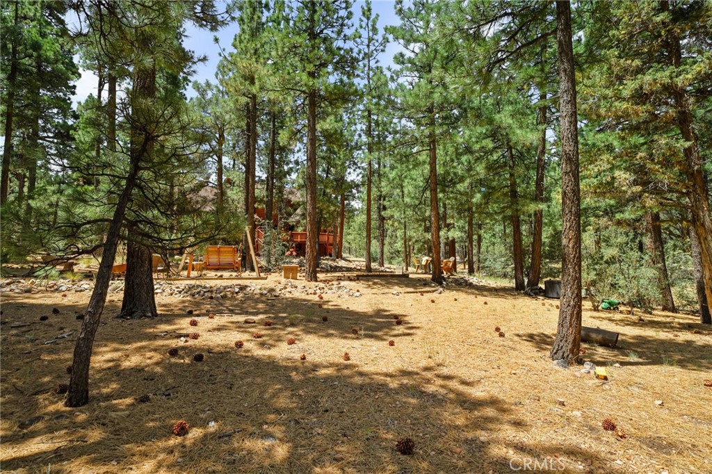 1947 Shady Lane Property Photo 49