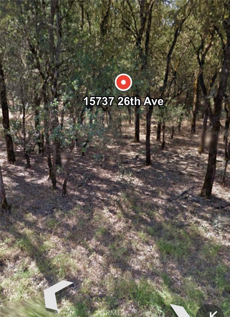 15737 26th Avenue Property Photo 1