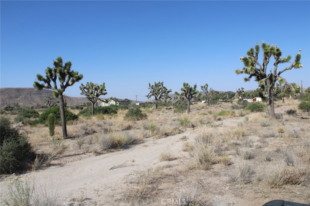0 Minna Gombell Ln. Property Photo 2