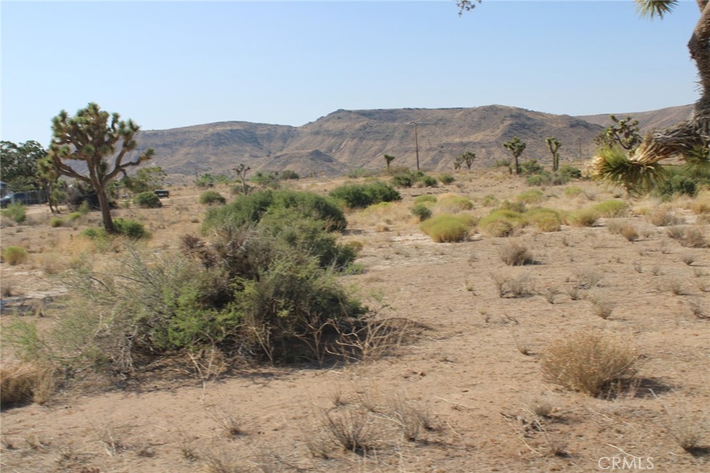 0 Minna Gombell Ln. Property Photo 4