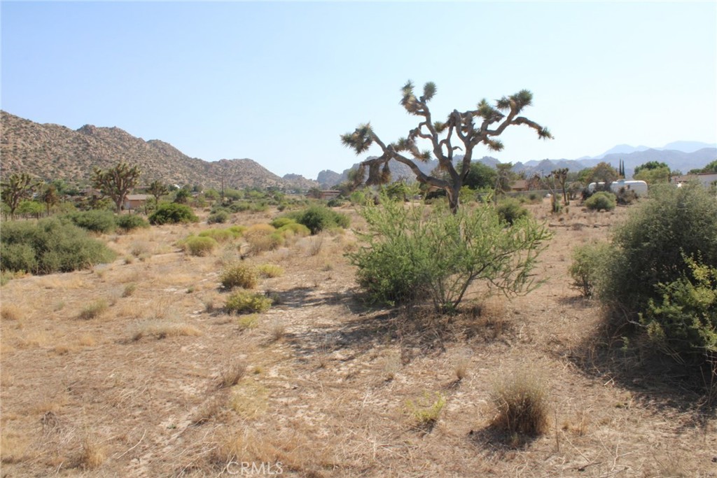 0 Minna Gombell Ln. Property Photo 6