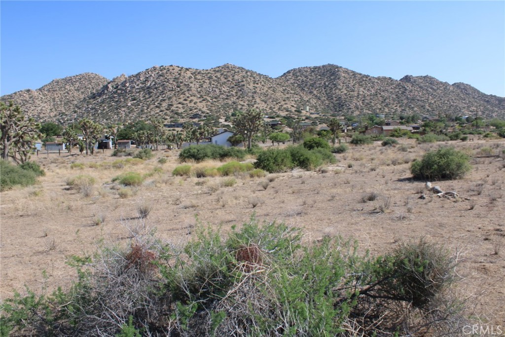 0 Minna Gombell Ln. Property Photo 8