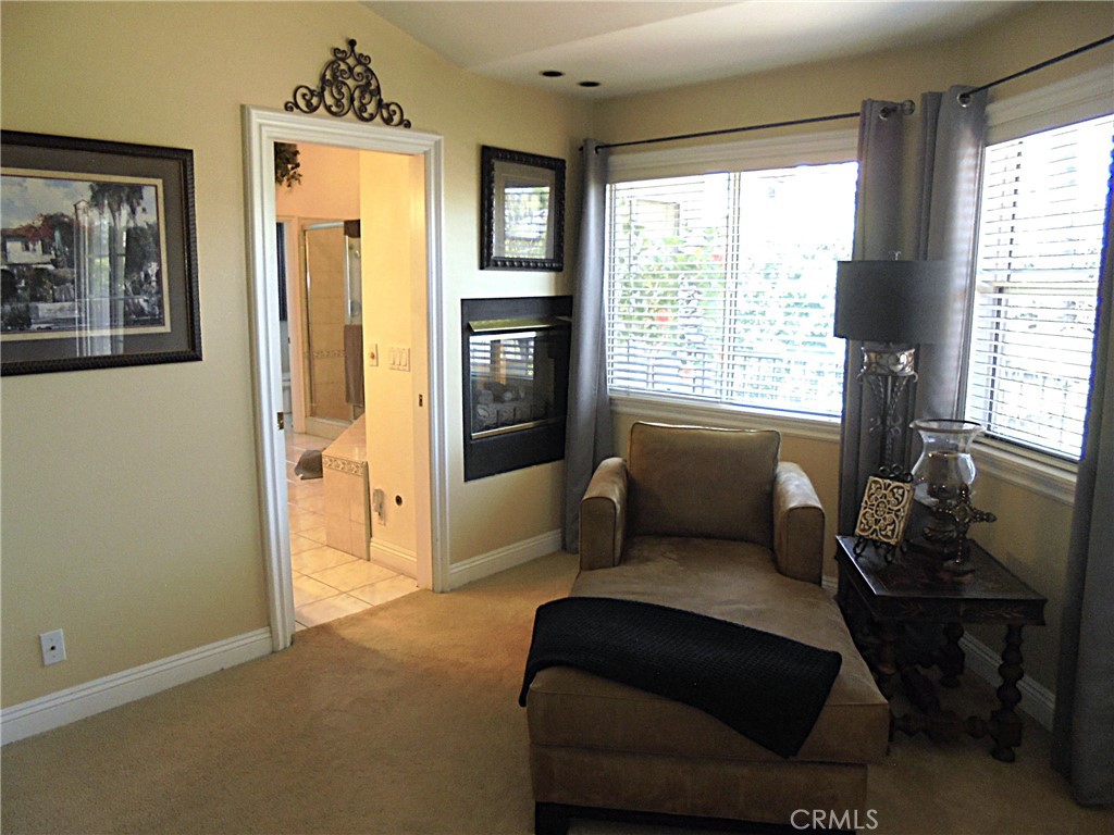 1535 Via Arroyo Property Photo 23