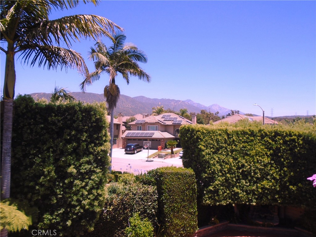 1535 Via Arroyo Property Photo 30