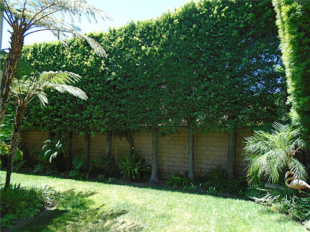 1535 Via Arroyo Property Photo 52
