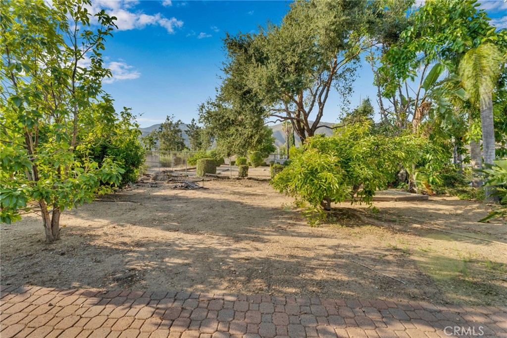5338 Falling Tree Lane Property Photo 50